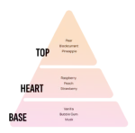 Areon Gel Can - Bubble Gum GCK10