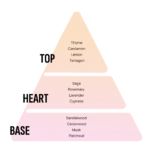 Areon Smile Toy - New Car ASB02